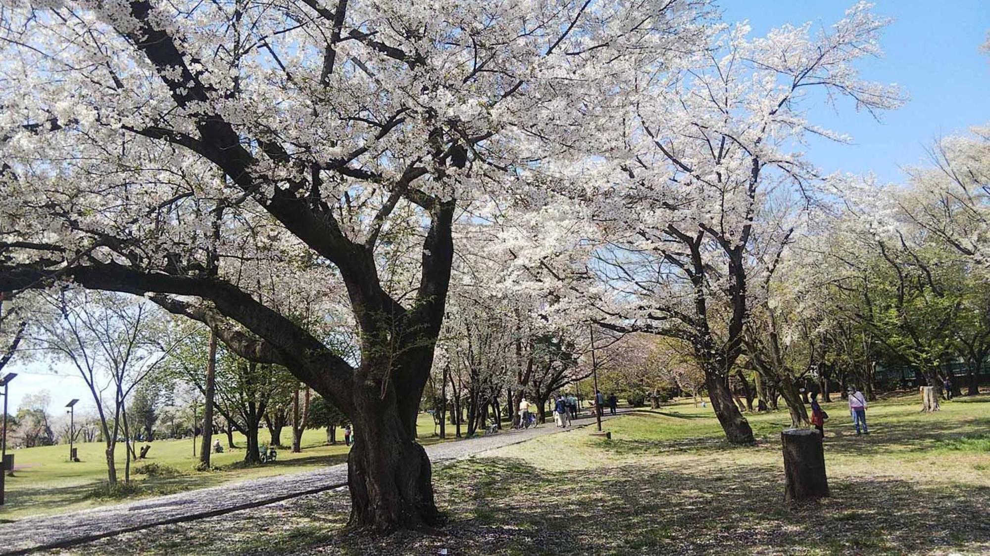 Toyoko Inn Wako-Shi Ekimae ภายนอก รูปภาพ